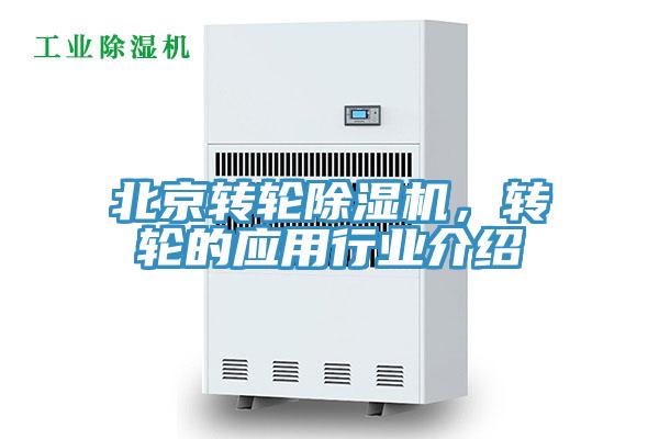 北京轉輪杏仁视频APP成人官方污，轉輪的應用行業介紹