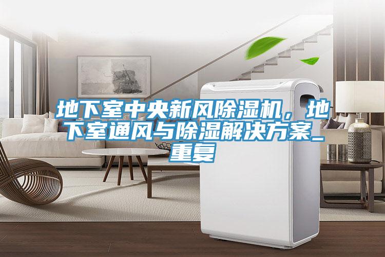 地下室中央新風杏仁视频APP成人官方污，地下室通風與除濕解決方案_重複