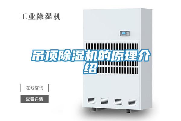 吊頂杏仁视频APP成人官方污的原理介紹