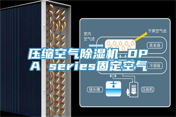 壓縮空氣杏仁视频APP成人官方污 DPA series固定空氣