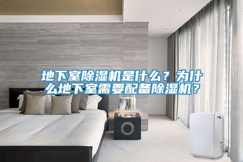 地下室杏仁视频APP成人官方污是什麽？為什麽地下室需要配備杏仁视频APP成人官方污？