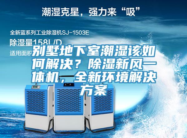 別墅地下室潮濕該如何解決？除濕新風一體機，全新環境解決方案