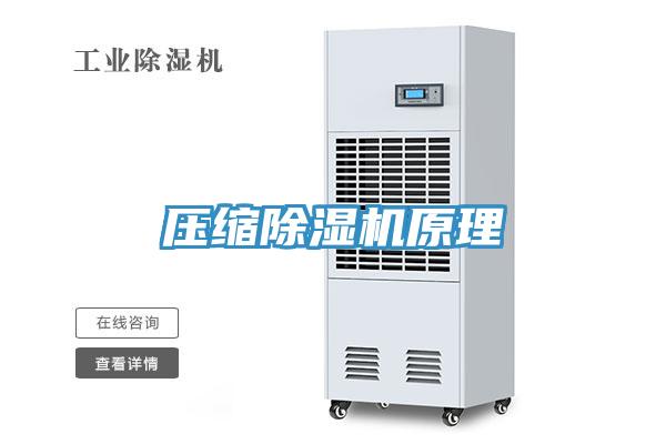 壓縮杏仁视频APP成人官方污原理