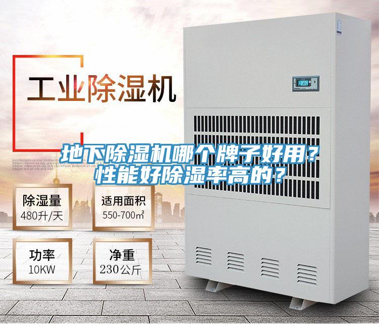 地下杏仁视频APP成人官方污哪個牌子好用？性能好除濕率高的？