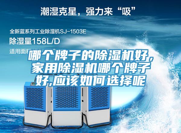哪個牌子的杏仁视频APP成人官方污好，家用杏仁视频APP成人官方污哪個牌子好,應該如何選擇呢