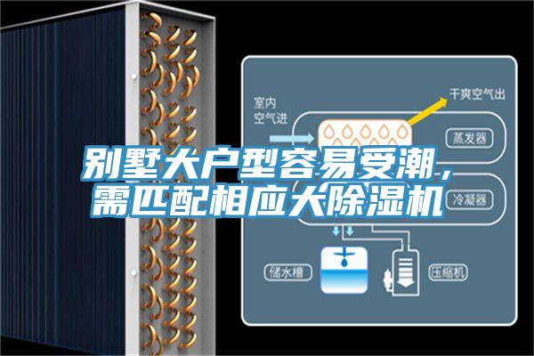 別墅大戶型容易受潮，需匹配相應大杏仁视频APP成人官方污
