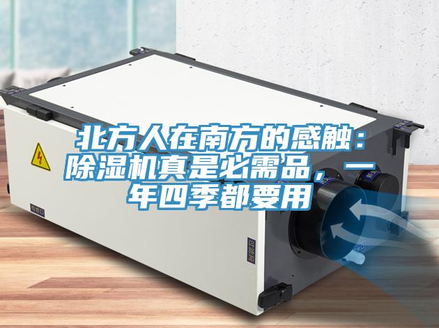 北方人在南方的感觸：杏仁视频APP成人官方污真是必需品，一年四季都要用