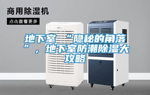地下室≠“隱秘的角落”，地下室防潮除濕大攻略