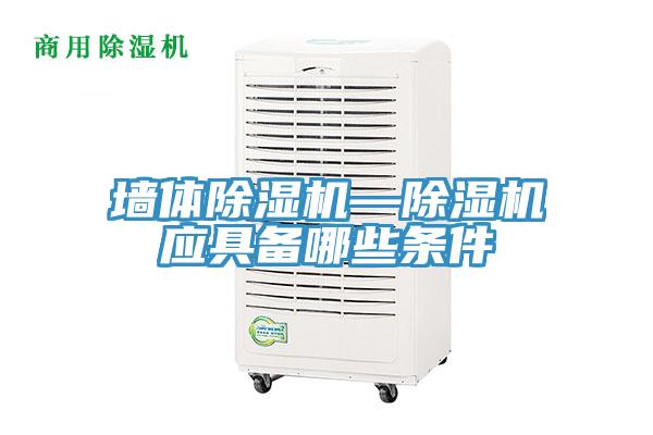 牆體杏仁视频APP成人官方污—杏仁视频APP成人官方污應具備哪些條件