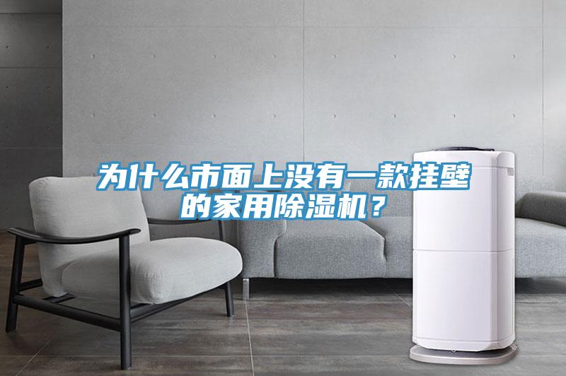 為什麽市麵上沒有一款掛壁的家用杏仁视频APP成人官方污？