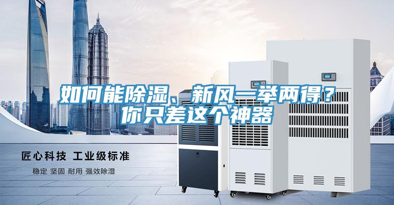 如何能除濕、新風一舉兩得？你隻差這個神器