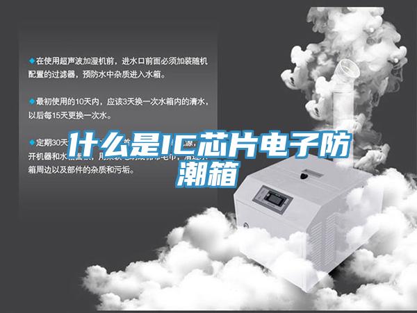 什麽是IC芯片電子防潮箱
