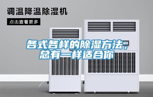 各式各樣的除濕方法，總有一樣適合你