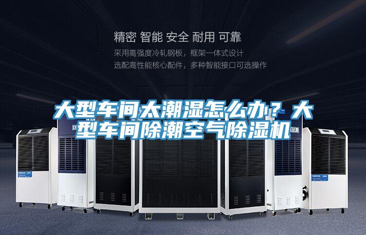 大型車間太潮濕怎麽辦？大型車間除潮空氣杏仁视频APP成人官方污