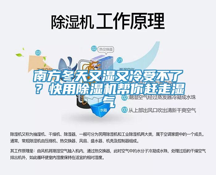 南方冬天又濕又冷受不了？快用杏仁视频APP成人官方污幫你趕走濕氣