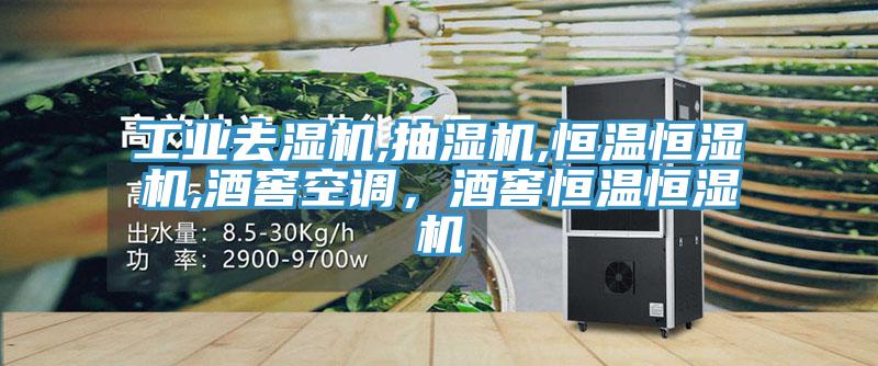 工業去濕機,抽濕機,恒溫恒濕機,酒窖空調，酒窖恒溫恒濕機