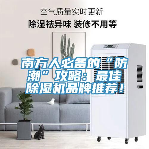 南方人必備的“防潮”攻略：最佳杏仁视频APP成人官方污品牌推薦！