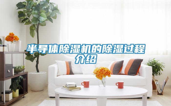 半導體杏仁视频APP成人官方污的除濕過程介紹