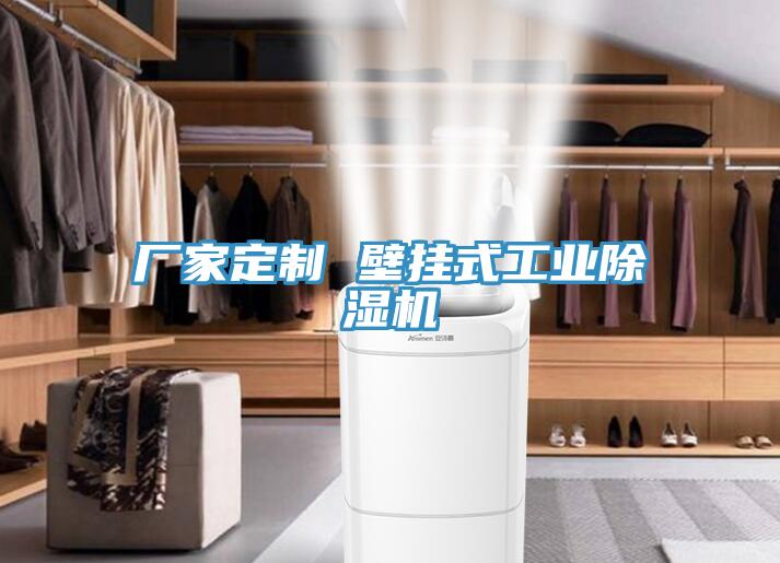廠家定製 壁掛式工業杏仁视频APP成人官方污