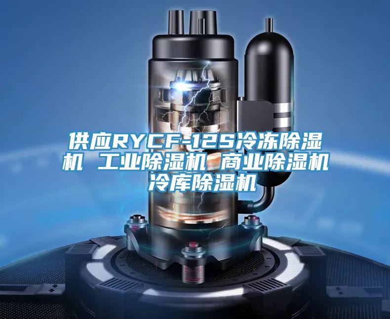 供應RYCF-12S冷凍杏仁视频APP成人官方污 工業杏仁视频APP成人官方污 商業杏仁视频APP成人官方污 冷庫杏仁视频APP成人官方污