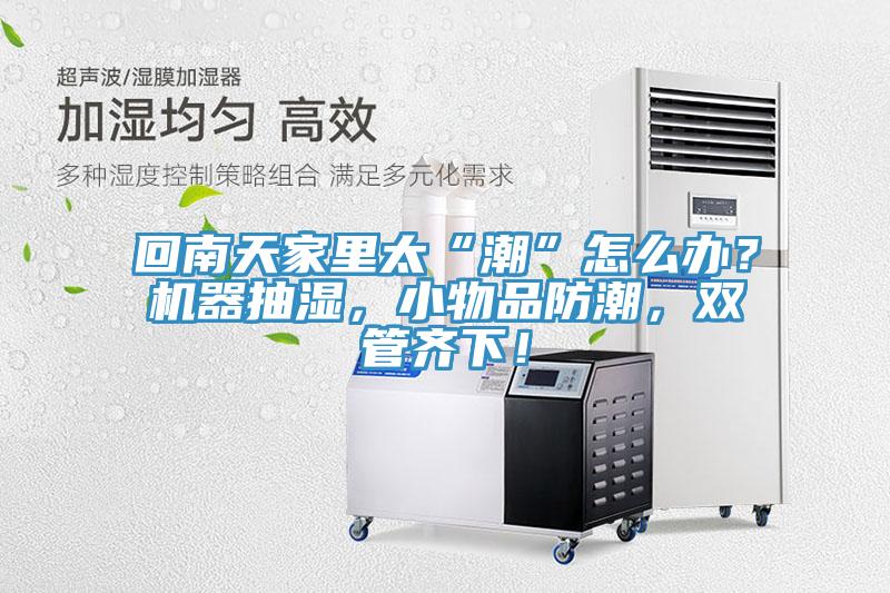 回南天家裏太“潮”怎麽辦？機器抽濕，小物品防潮，雙管齊下！