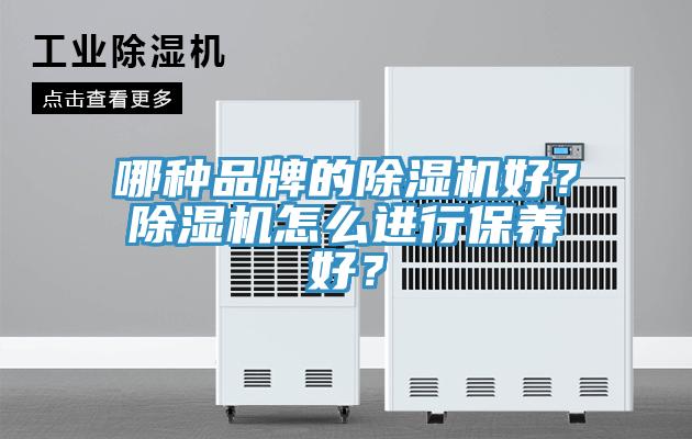 哪種品牌的杏仁视频APP成人官方污好？杏仁视频APP成人官方污怎麽進行保養好？