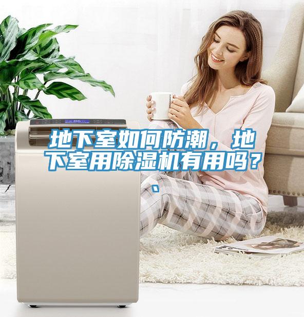 地下室如何防潮，地下室用杏仁视频APP成人官方污有用嗎？、