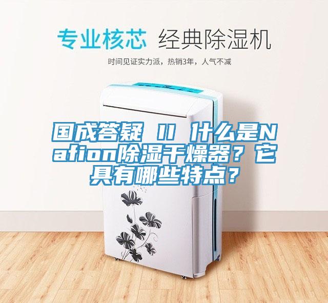 國成答疑 II 什麽是Nafion除濕幹燥器？它具有哪些特點？
