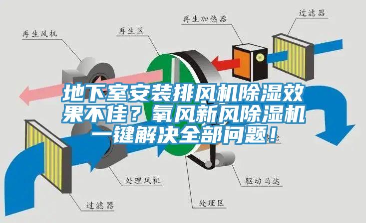 地下室安裝排風機除濕效果不佳？氧風新風杏仁视频APP成人官方污一鍵解決全部問題！