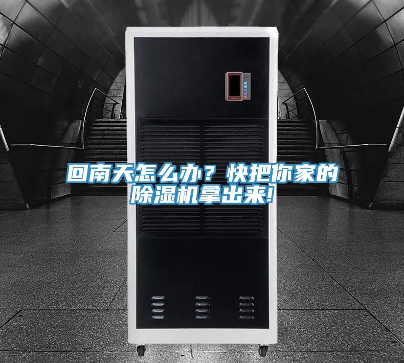 回南天怎麽辦？快把你家的杏仁视频APP成人官方污拿出來!