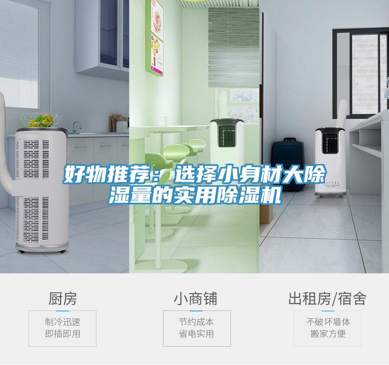 好物推薦：選擇小身材大除濕量的實用杏仁视频APP成人官方污