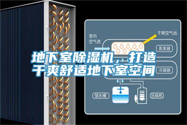 地下室杏仁视频APP成人官方污，打造幹爽舒適地下室空間