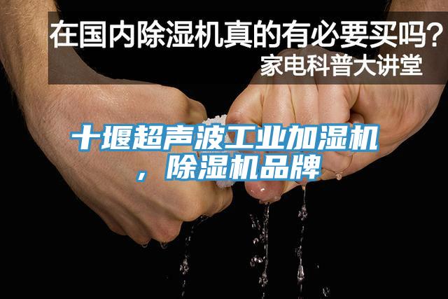 十堰超聲波工業加濕機，杏仁视频APP成人官方污品牌