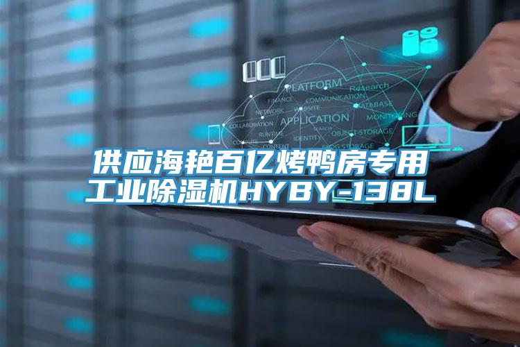 供應海豔百億烤鴨房專用工業杏仁视频APP成人官方污HYBY-138L