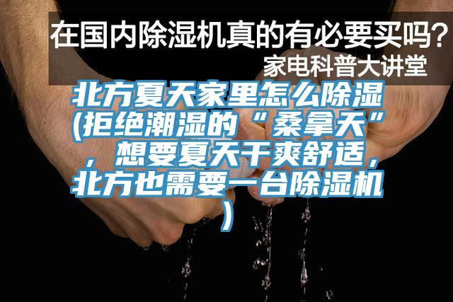 北方夏天家裏怎麽除濕(拒絕潮濕的“桑拿天”，想要夏天幹爽舒適，北方也需要一台杏仁视频APP成人官方污)