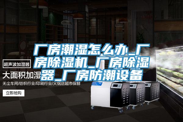 廠房潮濕怎麽辦_廠房杏仁视频APP成人官方污_廠房除濕器_廠房防潮設備