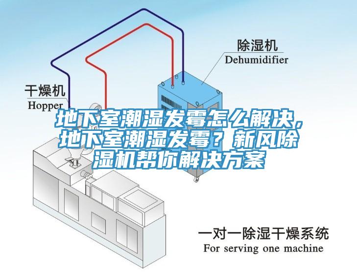 地下室潮濕發黴怎麽解決，地下室潮濕發黴？新風杏仁视频APP成人官方污幫你解決方案
