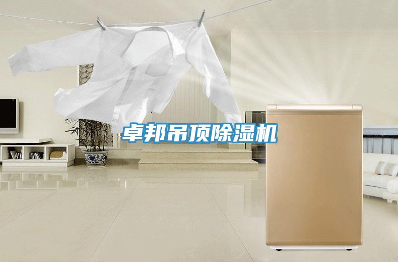 卓邦吊頂杏仁视频APP成人官方污