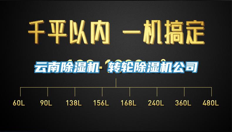 雲南杏仁视频APP成人官方污 轉輪杏仁视频APP成人官方污公司
