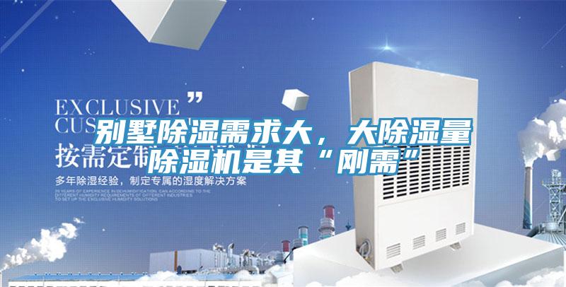 別墅除濕需求大，大除濕量杏仁视频APP成人官方污是其“剛需”