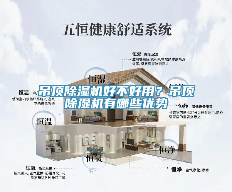 吊頂杏仁视频APP成人官方污好不好用？吊頂杏仁视频APP成人官方污有哪些優勢