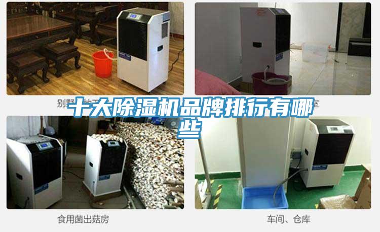 十大杏仁视频APP成人官方污品牌排行有哪些