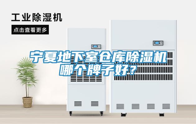 寧夏地下室倉庫杏仁视频APP成人官方污哪個牌子好？