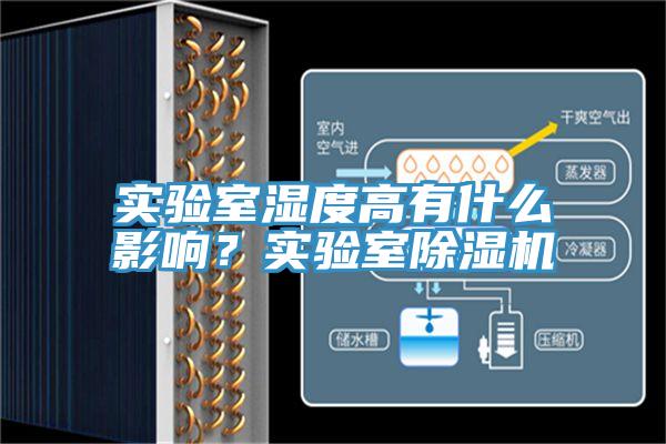 實驗室濕度高有什麽影響？實驗室杏仁视频APP成人官方污