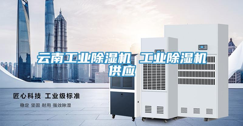 雲南工業杏仁视频APP成人官方污 工業杏仁视频APP成人官方污供應