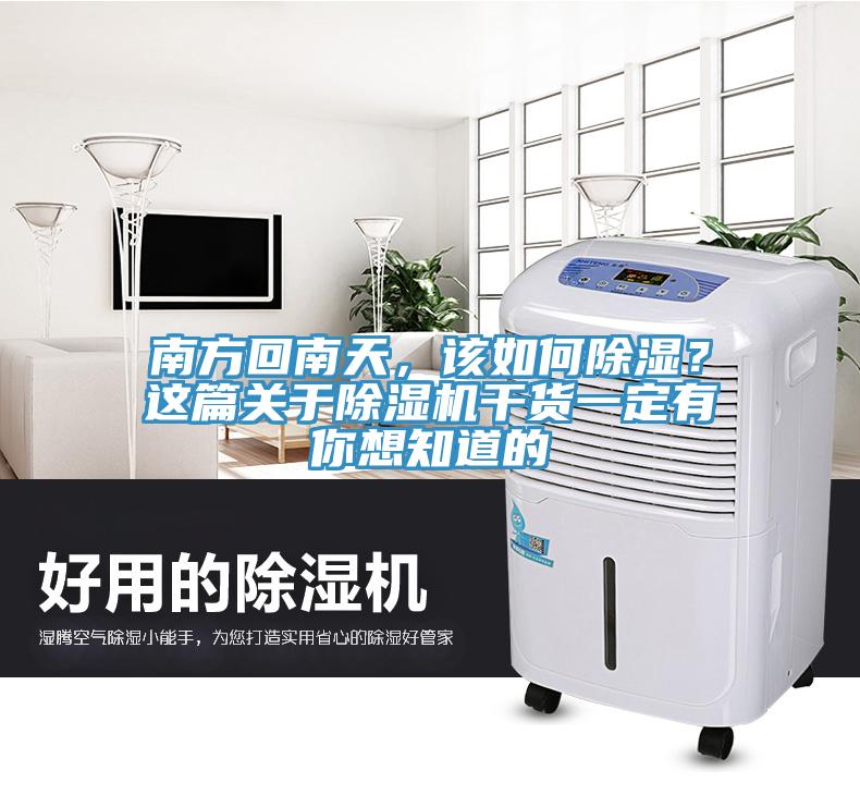 南方回南天，該如何除濕？這篇關於杏仁视频APP成人官方污幹貨一定有你想知道的