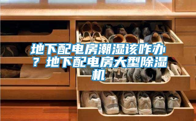 地下配電房潮濕該咋辦？地下配電房大型杏仁视频APP成人官方污