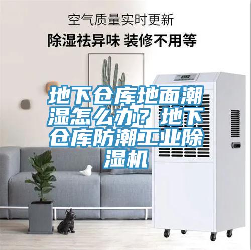 地下倉庫地麵潮濕怎麽辦？地下倉庫防潮工業杏仁视频APP成人官方污