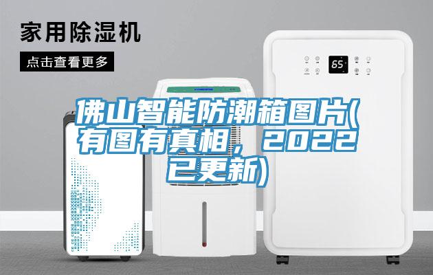 佛山智能防潮箱圖片(有圖有真相，2022已更新)