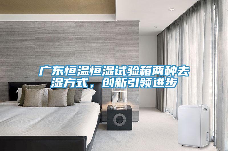 廣東恒溫恒濕試驗箱兩種去濕方式，創新引領進步